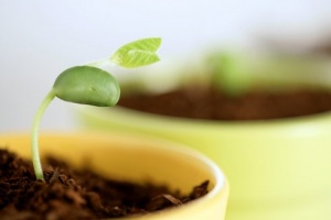 勞務(wù)派遣工必須知道的幾件事！