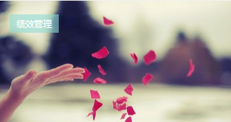 績(jì)效與薪酬的凄美“婚姻”